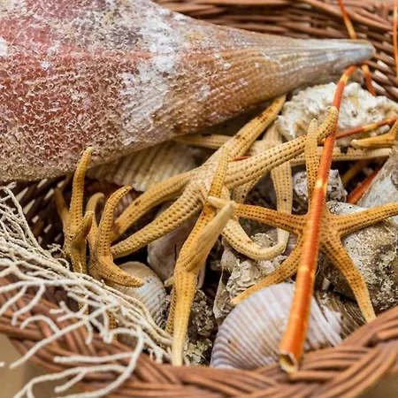 Ra Ica - 16 * Molunat