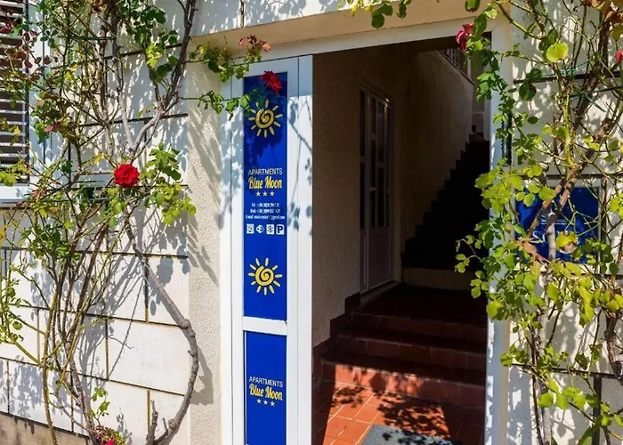 Ra Ica - 16 몰루나트